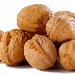 WALNUTS SEEDS