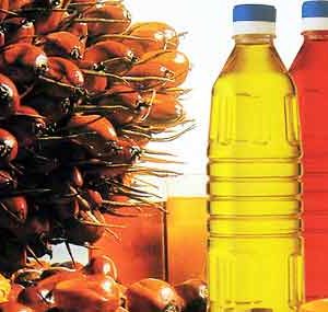 CRUDE PALM OIL