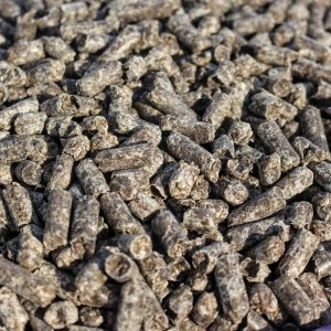 Beet Pulp Pellets