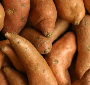 Fresh Sweet Potatoes