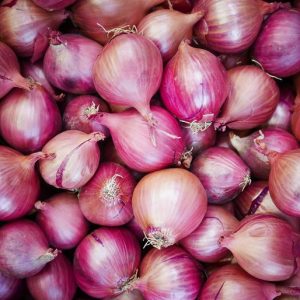 Fresh Onions