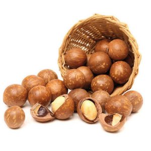 Macadamia