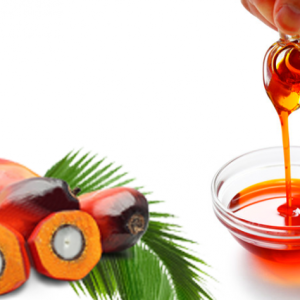 PALM OIL