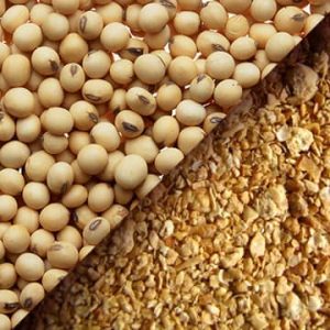 Soybean Meal