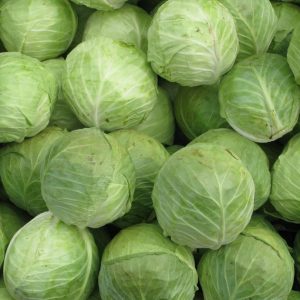 CABBAGE