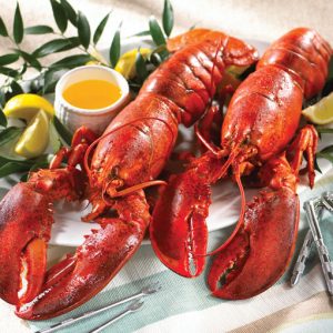 Lobster Per KG