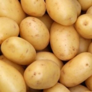 Fresh Potatoes