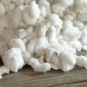 Raw Cotton